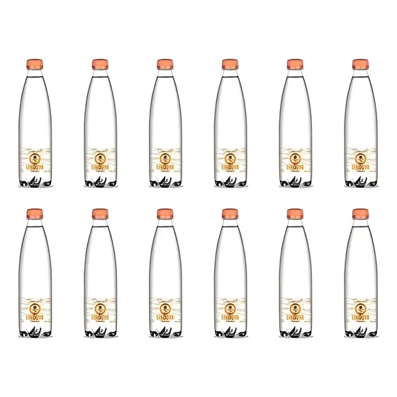 Água Mineral Lindoya Speciali C/ Gás Garrafa 500ml Kit C/12