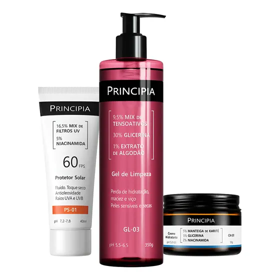 Principia Kit Rotina Diária Sensível Fps 60 Sensível Dia/noite
