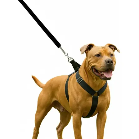 Coleira E Guia Pit Bull Nylon Reforçada Para Cachorro Cor Preto