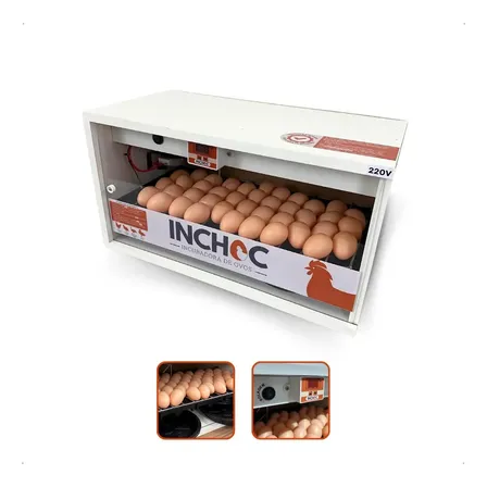 Chocadeira 50 Ovos Rolagem Automatica Uso Profissional 127v