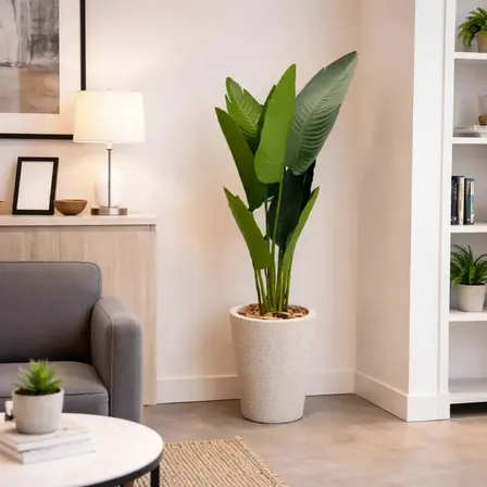 Arvore Bananeira Artificial 1,65m Grande 10 Folhas Realistas Verde