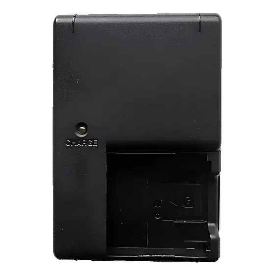 Carregador Bc-csg Bateria Np-bg1 Sony Cyber-shot Dsc-w55/p