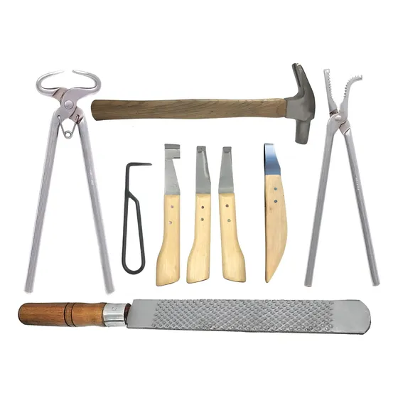 Kit Casqueamento Ferrageamento Cavalo Profissional