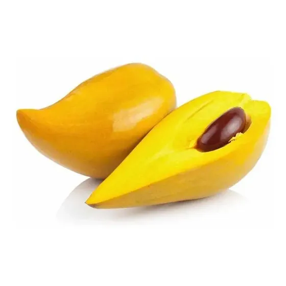 Muda De Canistel Ou Sapota Amarela - Fruta Exótica
