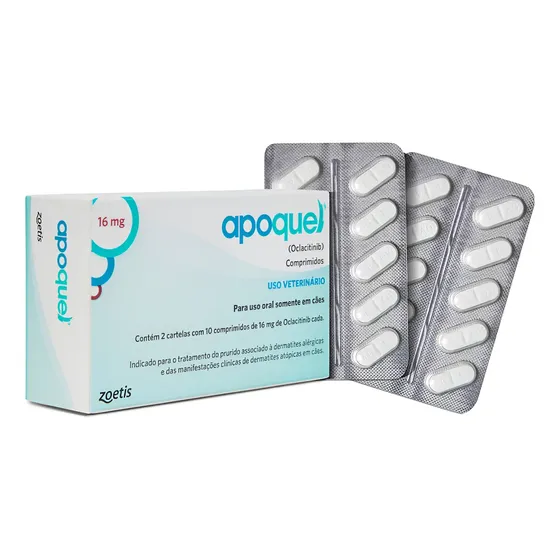 Apoquel Dermatológico Anti Coceira Cães 16 Mg