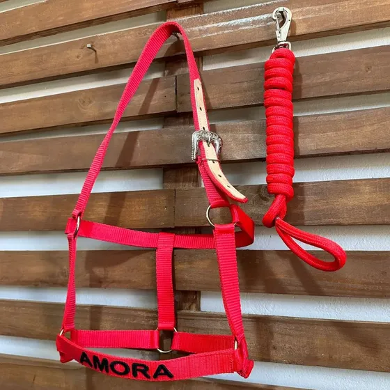 Cabresto Quarto De Milha/ Inglês- Bordado /personalizado