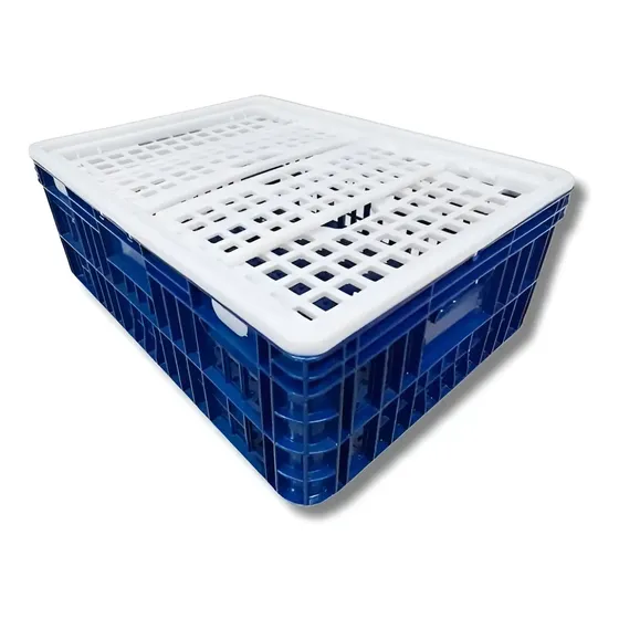 Caixa Gaiola Para Transporte De Frango Vivo Azul