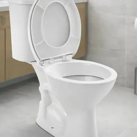 Vaso Sanitário + Caixa Acoplada Hervy Louças