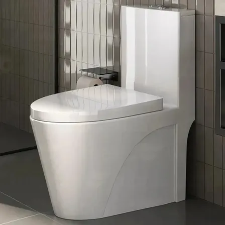 Vaso Sanitário Monobloco Caixa Acoplada Completo - Privada