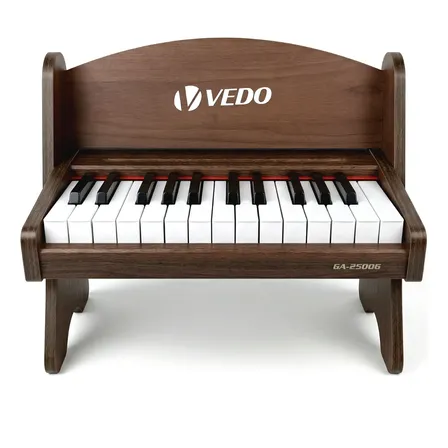 Teclado Musical Infantil 25 Teclas Para Aprendizagem Musical