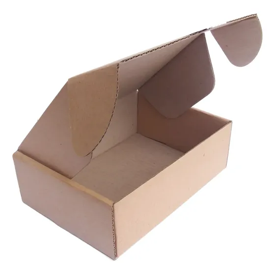 50 Caixas De Papelão Correio Sedex Pac Tam. 16x11x5 Montável