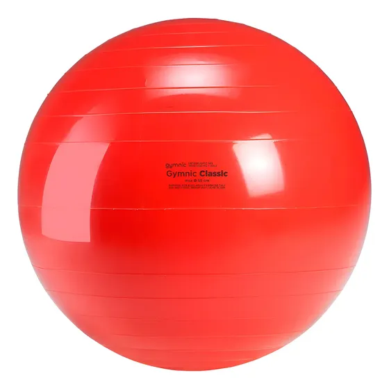 Bola Gymnic 55cm Bobath Bola Suiça Pilates Funcional