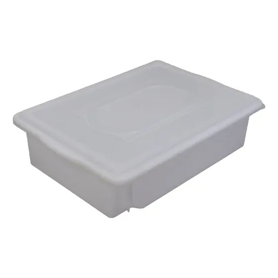 Caixa Plastica Camara Fria Congelamento Com Tampa 7 Litros