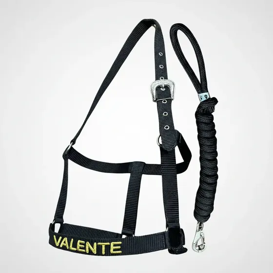 Cabresto Personalizado Cavalo - Bordado A Escolha
