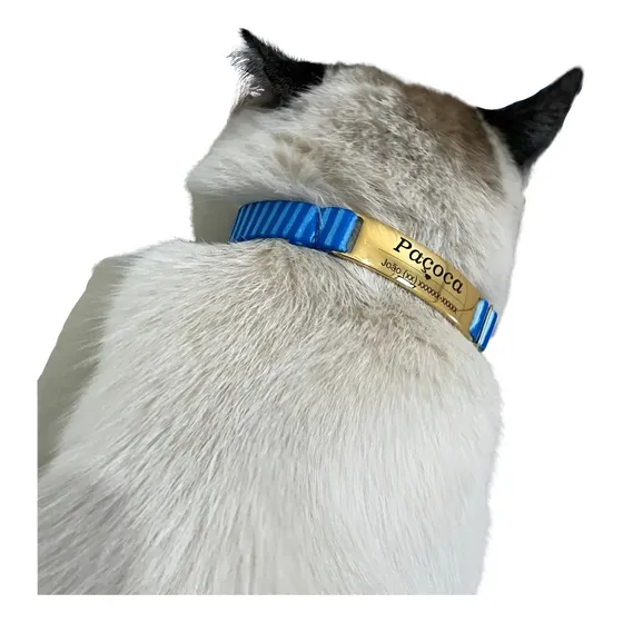 Coleira Para Gato Identificação Sem Barulho Personalizado