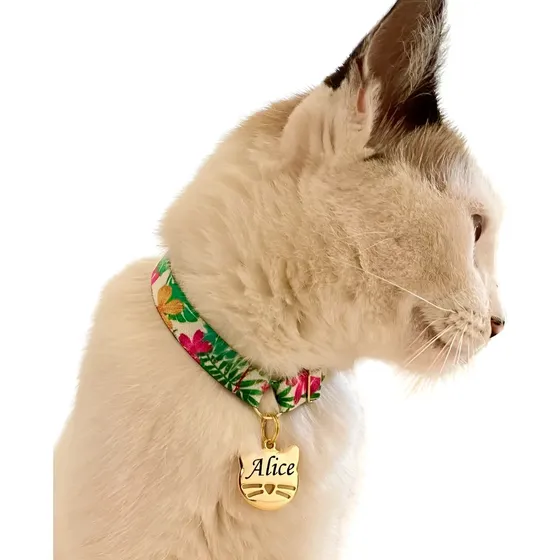 Coleira De Gato Anti Enforcamento Plaquinha Nome E Telefone