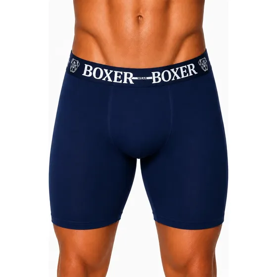 Kit 10 Cuecas Boxer Wear Masculino Long Leg Lisa