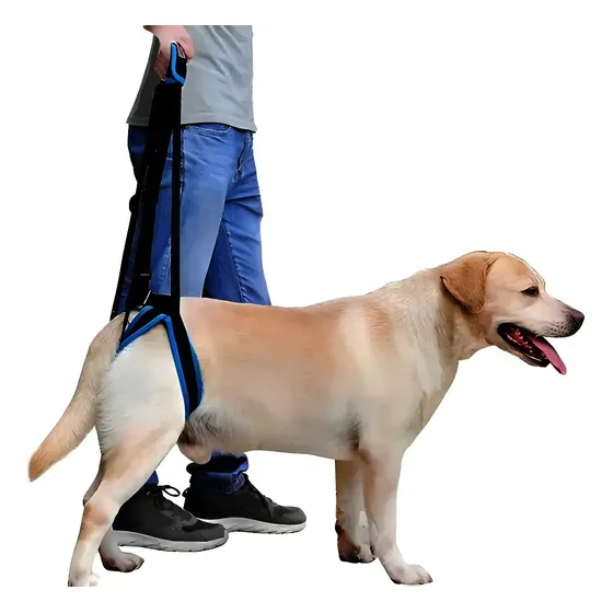 Arnês Para Elevação De Cachorro Suporte De Perna Traseira Bu