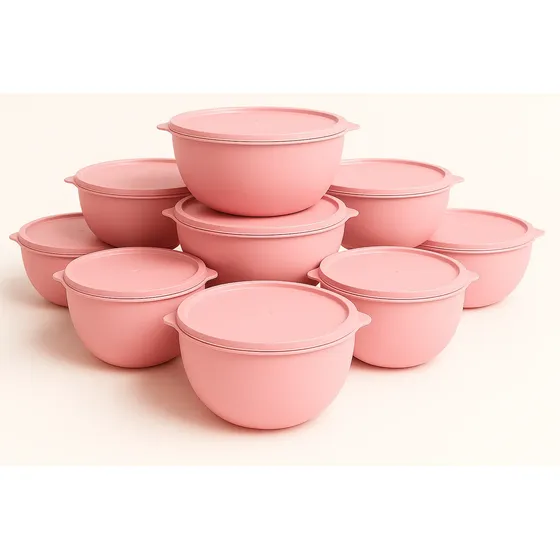 Conjunto 11 Peças Plasticos Multiuso Freezer Microondas