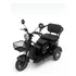 Triciclo Elétrico Veego V9 800 Watts C/ Ré E Alarme