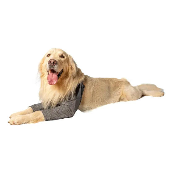 Roupa Cotoveleira Protetora Higroma De Cachorros Tam 4, 5, 6