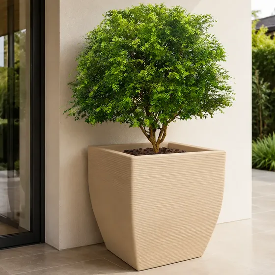 Vaso Grande Gigante P/ Plantar Arvores Frutiferas 70x70 Cm