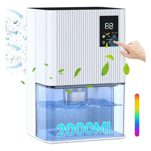 Desumidificador Elétrico Automático Yqalley 2l 800ml/dia . 127/220v