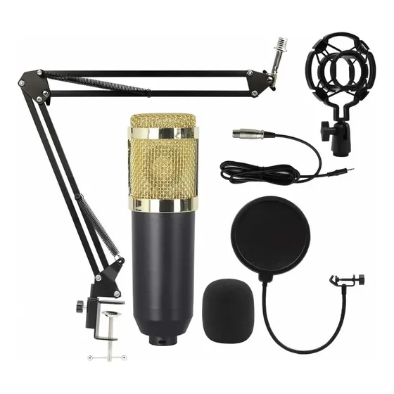 Microfone Príncipe Xuxu BM800 Condensador Unidirecional cor dourado