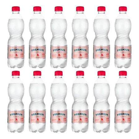 Água Mineral Premium Lindoia Com Gás 510ml Kit Com 12 Unidades