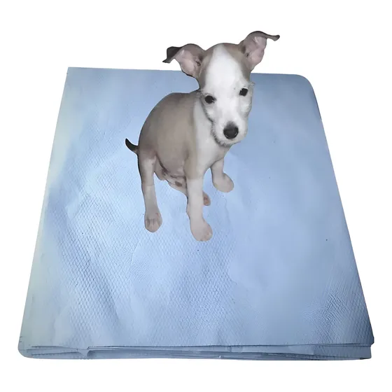 Jornal Pet Cachorro 60 X 60cm 250 Uni Reciclado Marca Anipel