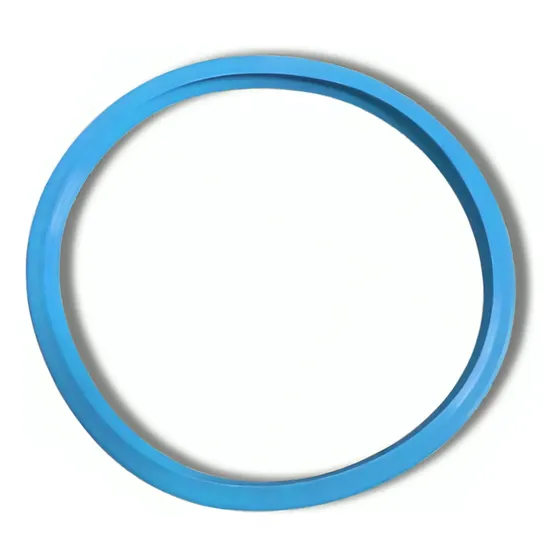 Anel Vedação Porta Autoclave Cristofoli Vitale Class 21l