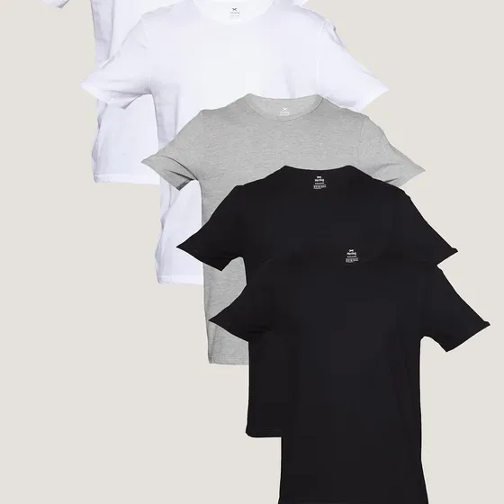 Kit Com 5 Camisetas Básicas Slim Masculina Hering