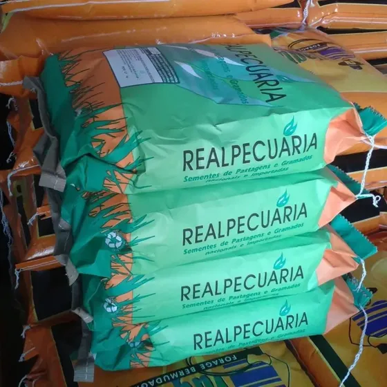 Sementes De Estilosantes Campo Grande - 5 Kg