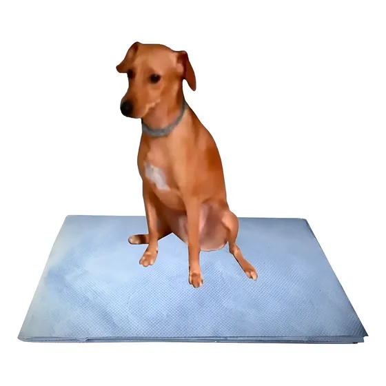 Jornal Pet Para Cachorro 500 Unid, Sem Impressão, Reciclado,tapete Papel Reciclado Cinza, Boa Absorção Top + Brinde