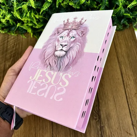 Bíblia Sagrada Feminina Rei Dos Reis Rosa Capa Dura Letras Médias Com Harpa E Índice Palavras De Jesus Destacadas Em Vermelho