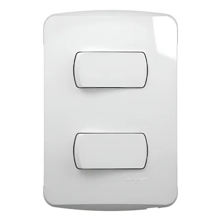Conjunto 2 Interruptores Simples 10a 250v Br Miluz Schneider
