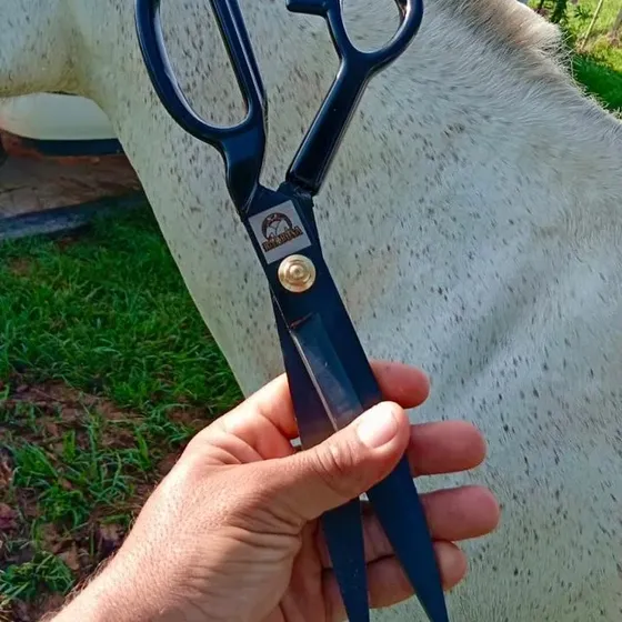 Tesoura Profissional Para Crina De Cavalo Muares12 Polegadas