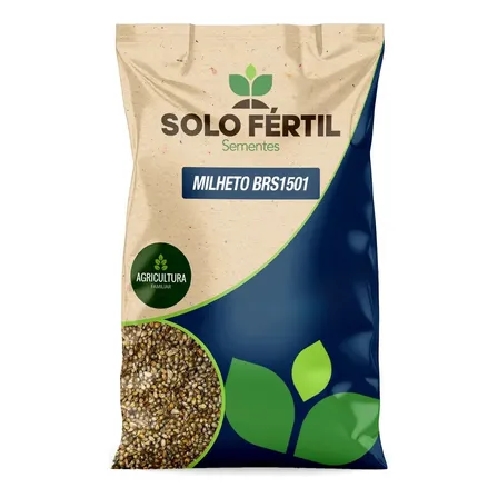 Sementes De Milheto Forrageiro Tratado Plantio Saco De 3 Kg