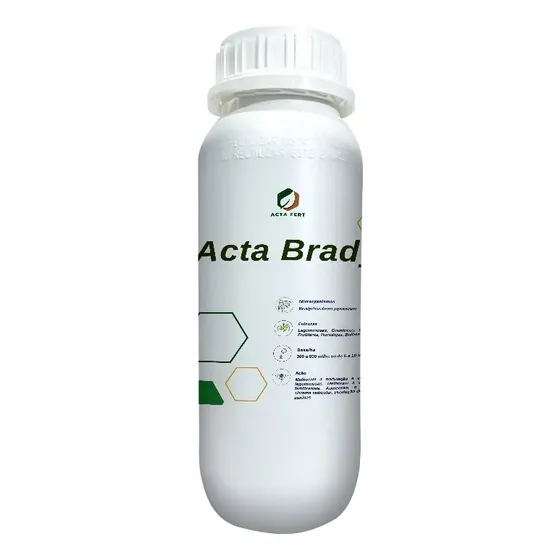 Bradyrhizobium Japonicum - 1,0 Litro