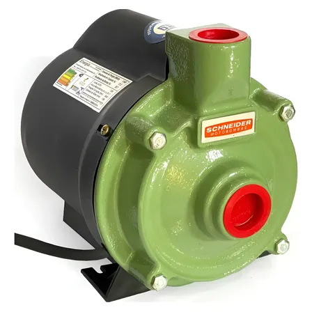 Bomba D'água Schneider Centrífuga Bcr 2010 1cv Mono 220v