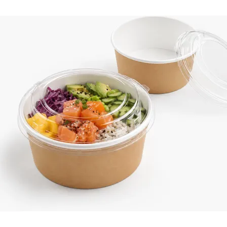 100 Pote Bowl Kraft Bio 1100ml Delivery Tampa Pet Embalagem Bege
