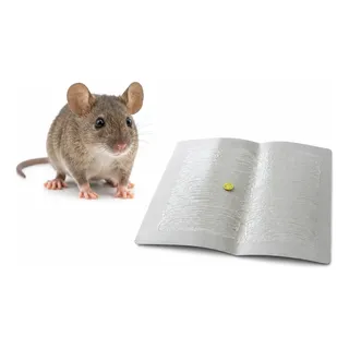 Armadilha Adesiva Grande Para Ratos Kit Com 3