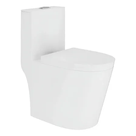 Vaso Sanitário Monobloco Caixa Acoplada Completo Privada Cor Branco