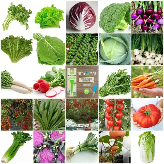 1200 Sementes Verd E Legumes 30 Tipos Separados + Gotejador