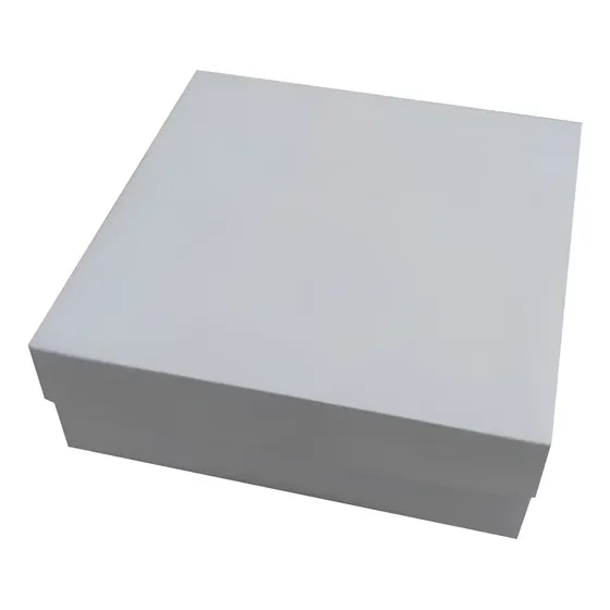 10 Caixas Para Presente Com Tampa S/ Visor - 20x20x7cm