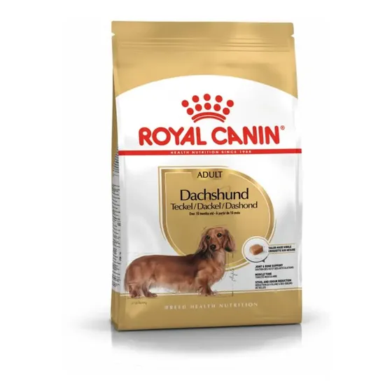 Alimento Royal Canin Breed Health Nutrition Dachshund para cão adulto de raza mini y pequena sabor mix