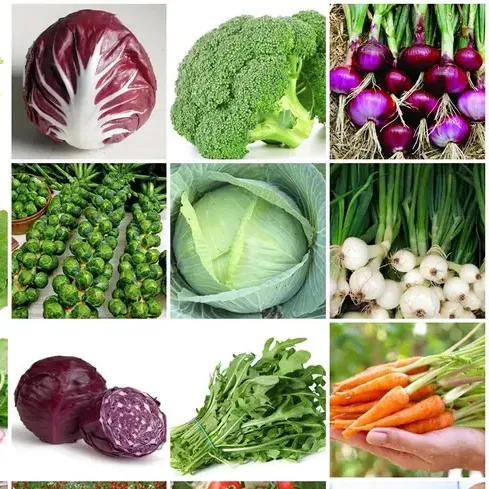 1200 Sementes Verduras E Legumes 30 Tipos Separados + Brinde