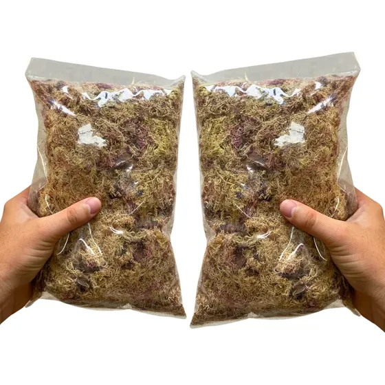 8 Litros Musgo Esfagno Organico Orquideas Sphagnum Terrários