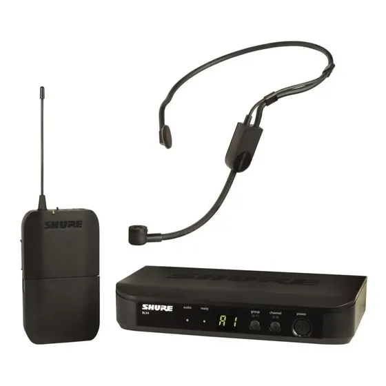 Microfone Shure BLX BLX14/PGA31 Condensador Cardioide cor preto