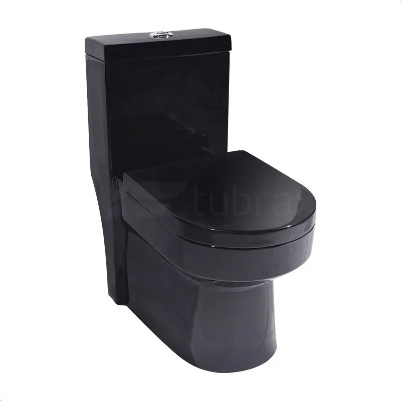 Vaso Sanitário Monobloco Caixa Acoplada Preto Privada Tubrax
